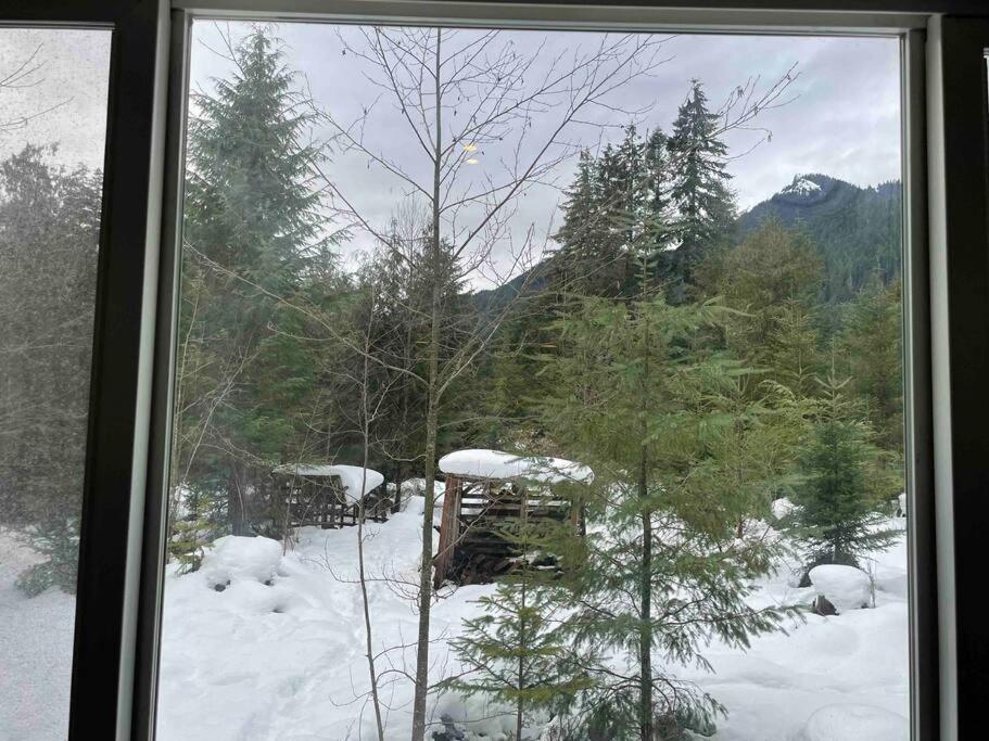 Cozy Tiny Home Steps Away From Mt. Rainier Ashford Exterior photo